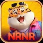 nrnr Money Max v2.9.5